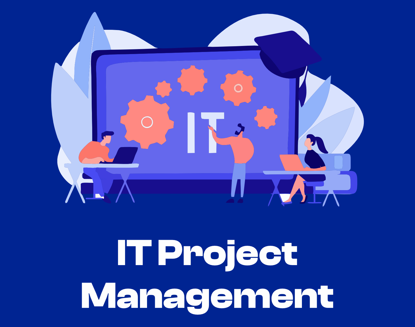 IT Project Management